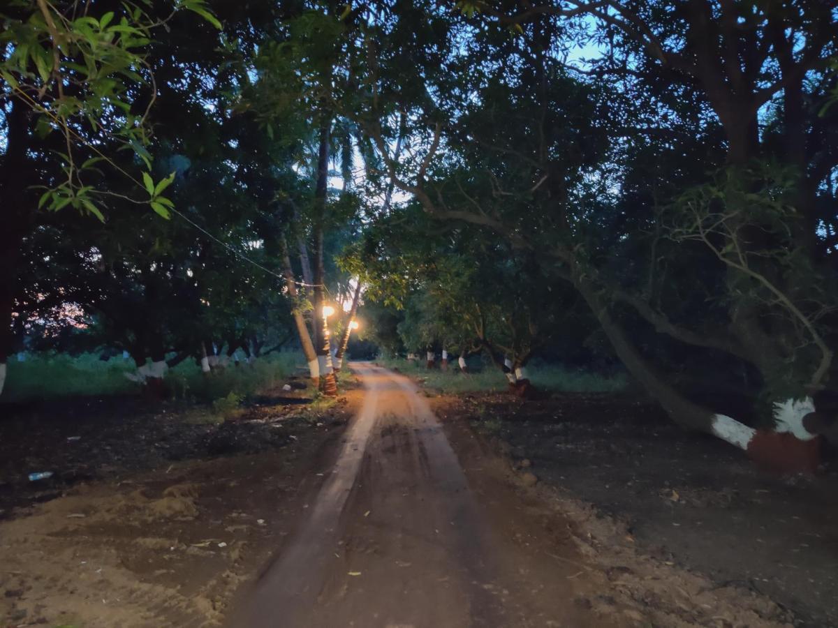 Shiv Farm House Ξενοδοχείο Sasan Gir Εξωτερικό φωτογραφία